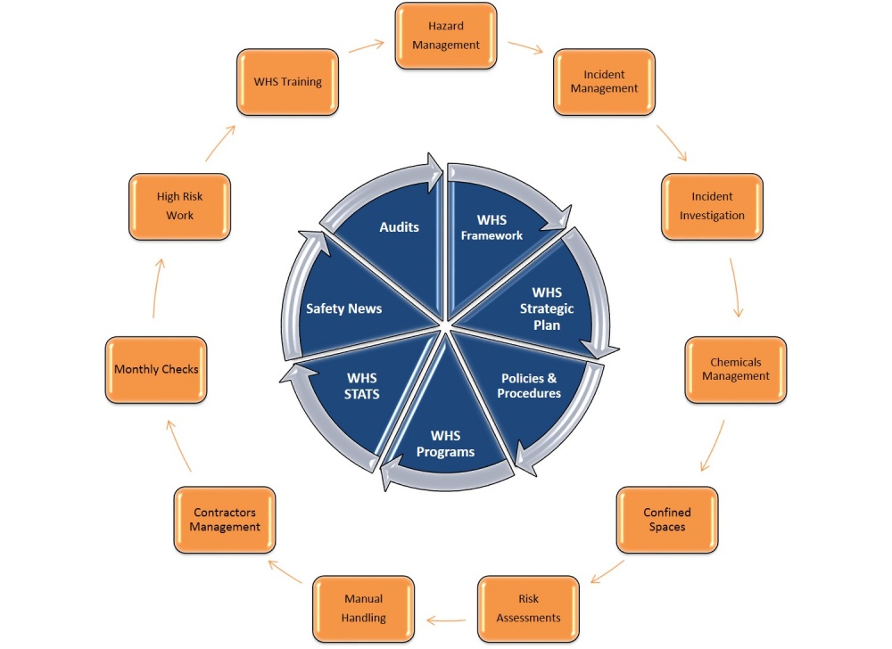 WHS MS diagram 1.jpg